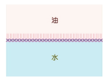 product01_04c.jpg