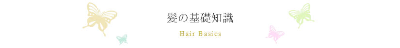 無添加シャンプー育毛 薄毛 抜け毛