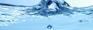 water11111.jpg