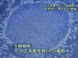 0711212243.jpg
