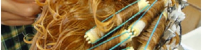 20111101_2238895.jpg