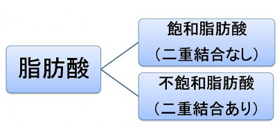 hairmart111.jpg