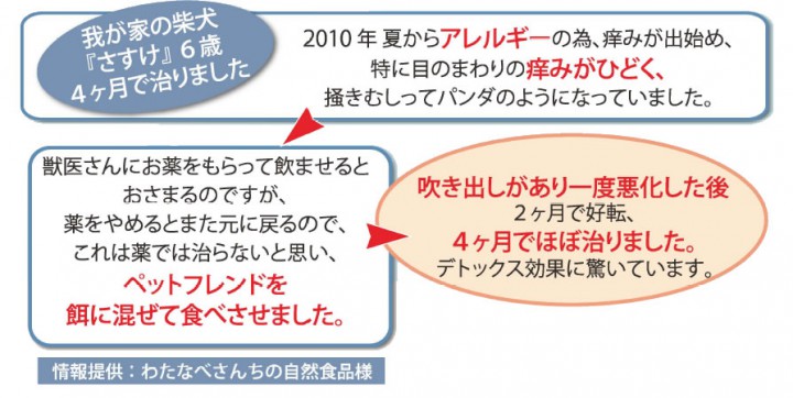 無添加シャンプーとペット