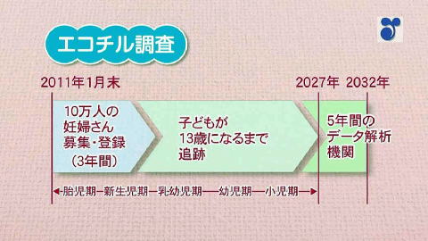 無添加シャンプーと二コチル調査