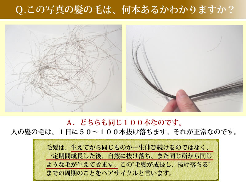 このオーセル藻SOU無添加シャンプーは最高におすすめできます。抜け毛予防