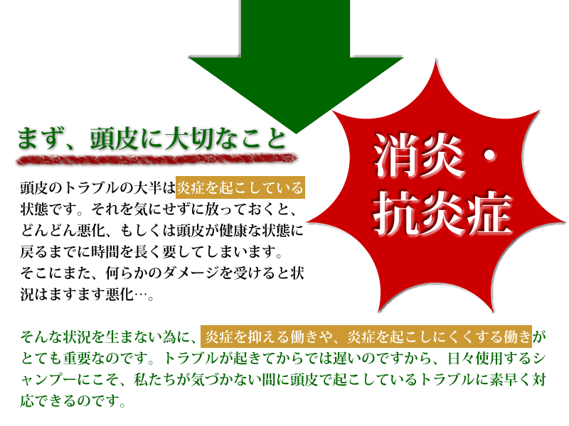 この無添加シャンプーは最高におすすめできます。抜け毛予防