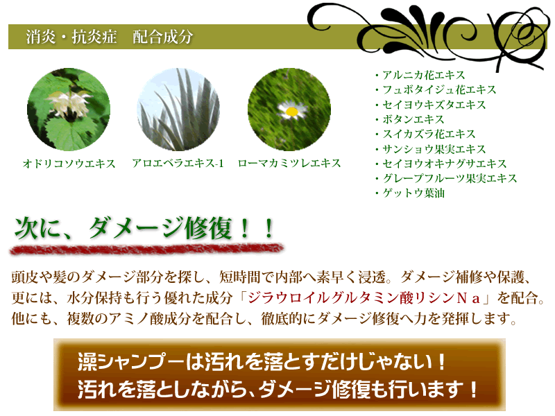 オーセル藻SOU無添加シャンプーで薄毛予防におすすめできます。