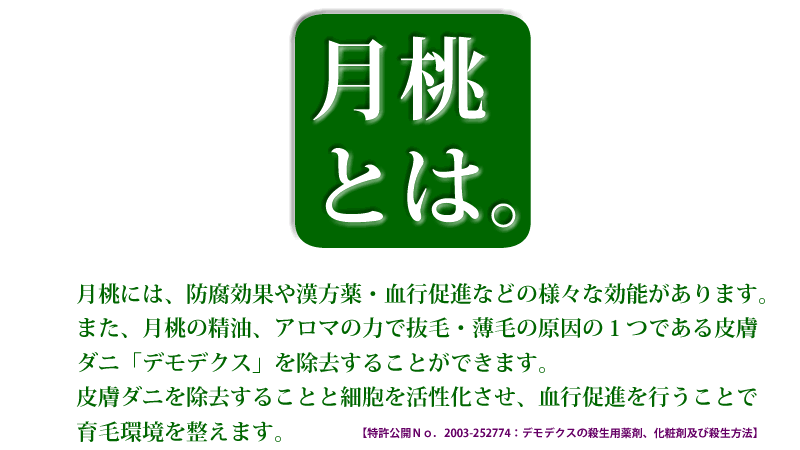 いつものシャンプーをオーセル藻SOU無添加シャンプーに変えましょう