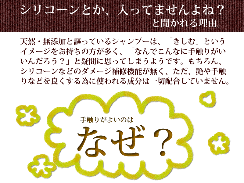 おすすめできる無添加シャンプーオアシスシャンプー天然成分が髪をきれいにします。