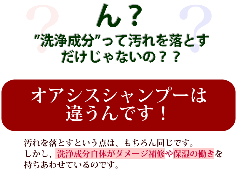 無添加シャンプーのなかでも最高におすすめできる無添加シャンプーです。