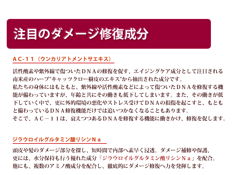 髪がきれいになるおすすめ無添加オアシスシャンプー